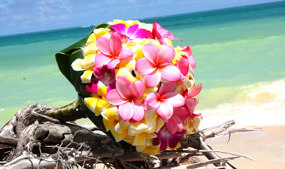 Yellow and pink frangipani bouquet with banana leaf perfect for a beach