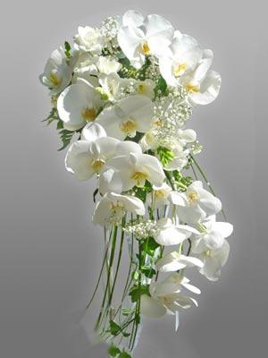 White Orchids Cascade | Bouquet Wedding Flower
