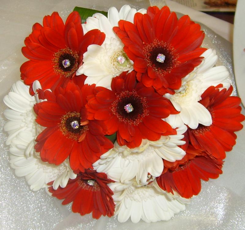 Gorgeous bright red and white gerbera bouquet