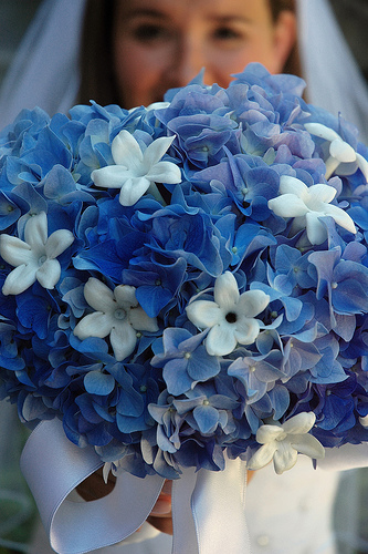 Blue hydrangea flowers tied with white ribbon decorated with white 