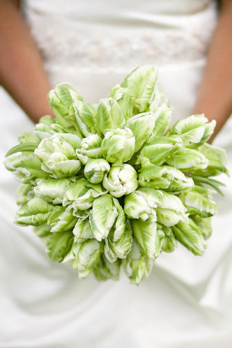 Absolutely stunning green parrot tulip bouquet