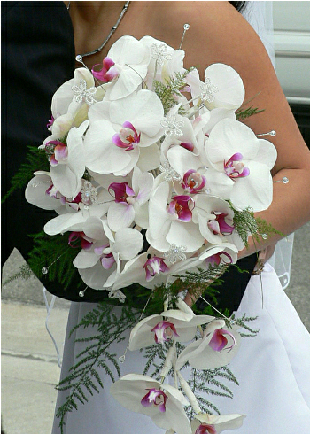 Beautiful cascading bridal bouquet made of white orchids with pink centers