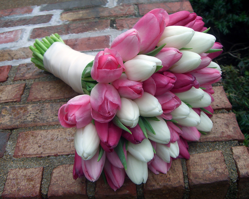 A gorgeous pink and white tulips bouquet for the bride