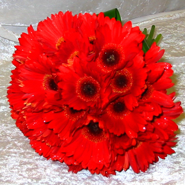 Gorgeous bright red gerbera bouquet