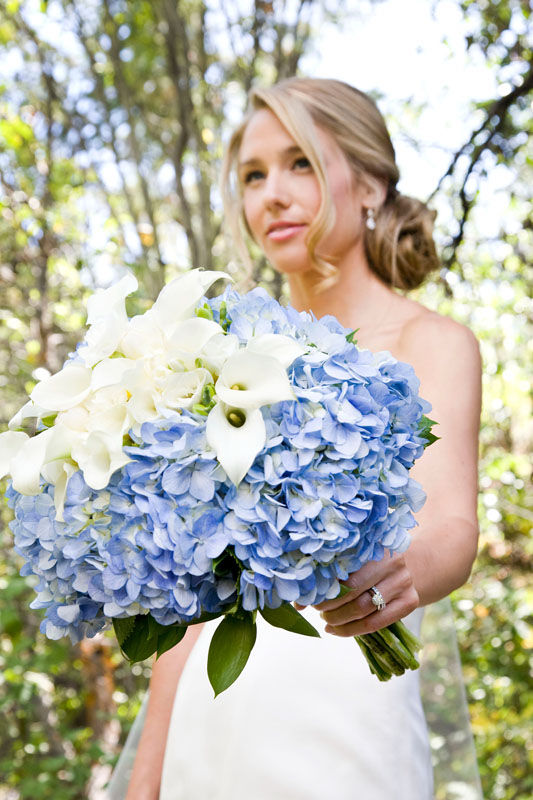 A bridal bouquet of white calla lilies surrounded by blue hydrangeas