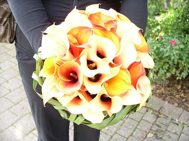 Beautiful bouquet made out of a lovely variety of orange calla lilies