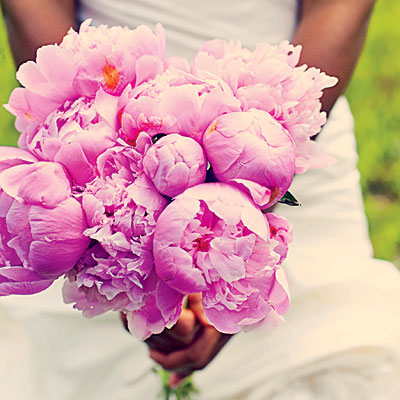 Peony Wedding Flowers on Bouquet Wedding Flower    Bouquet Wedding Flower