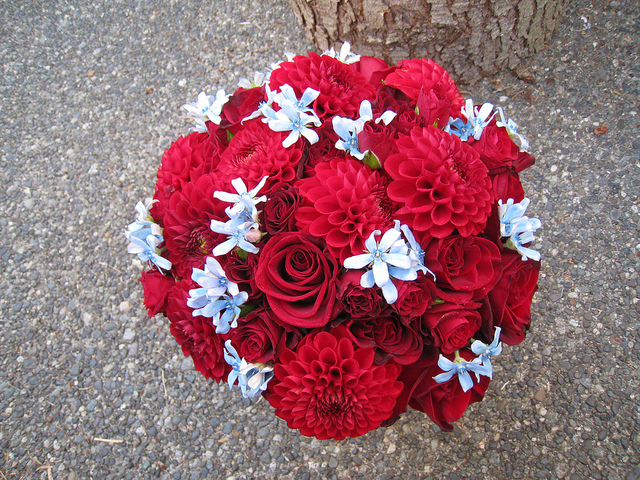 Amazingly beautiful bright red with light blue wedding bouquet made up of 