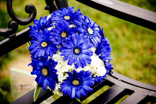 blue daisy bouquet