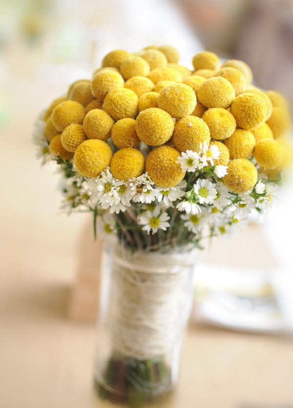 yellow billy buttons bouquet