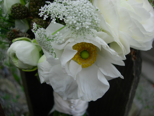 White Ranunculus, Blackberries, and Queen Anne's Lace Bouquet 2