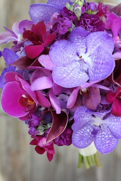 purple hydrangea, plum stock, deep purple calla lilies, and lavender mokara orchids with bright and fluttery accents of purple vanda, raspberry dendrobium, and fuchsia phalaenopsis orchid blooms