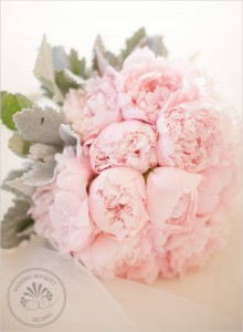 pale pink david austin roses bouquet bride