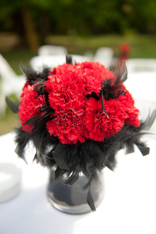 red carnations and black featehrs centrepiece