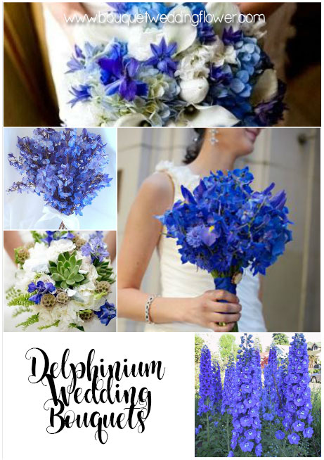 Delphinium blue flowers for a wedding