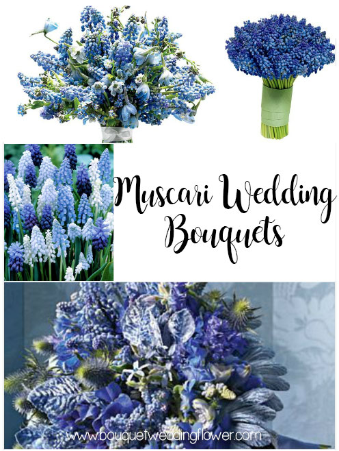 Muscari Wedding Bouquets