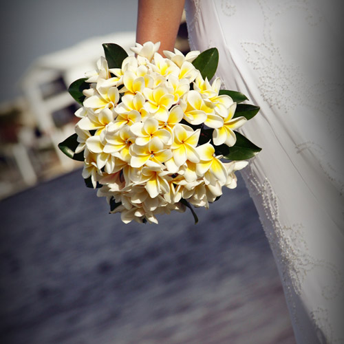 Beautiful Frangipani Bouquet