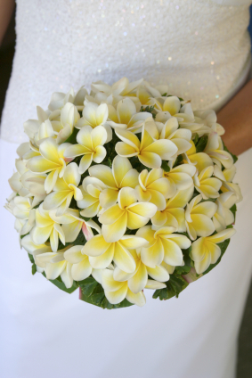 Yellow Frangipani Bouquet