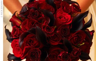 Blushing Roses and Callas