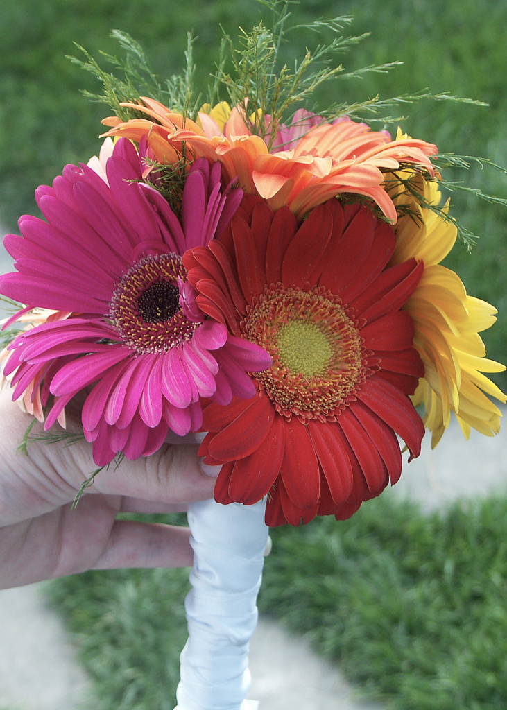 Colorful Gerbera Bouquet