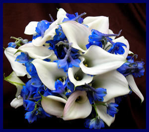 Delphinium and Callas