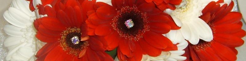 White and Red Gerbera Bouquet