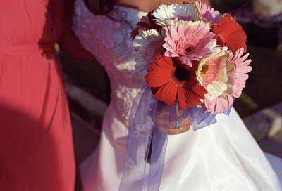 Pink, Red and White Gerbera