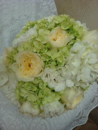 Green and White Hydrangea