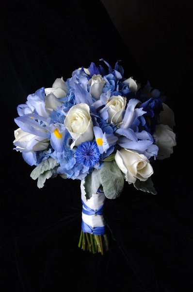 Blue Iris and White Roses