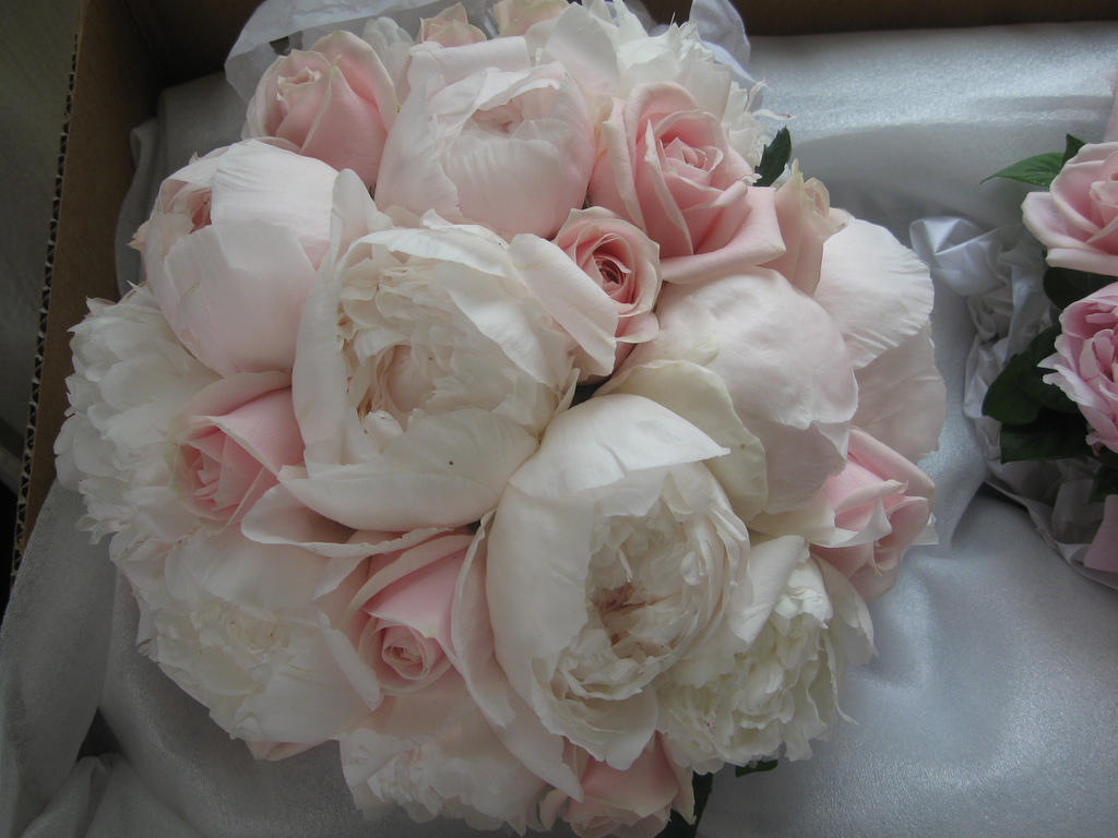 Peonies and Roses