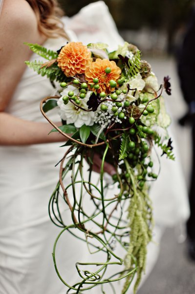 Orange and White Dahlias