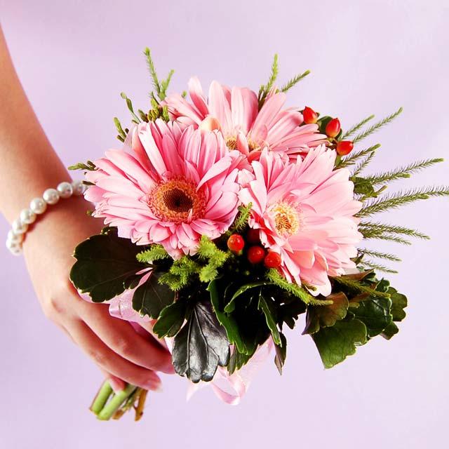 Gerbera and Berries