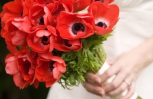Red Anemone Bouquet