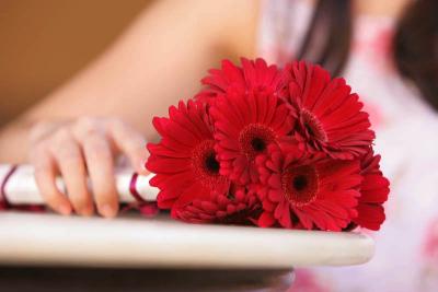 Simple Red Gerbera Bouquet