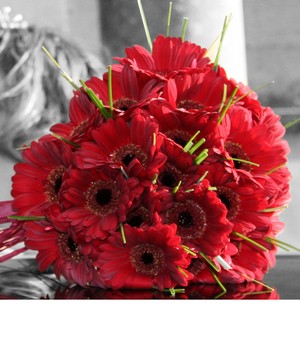 Red Gerbera Bridal