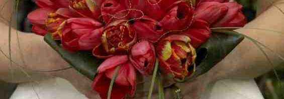 Red Parrot Tulip Bouquet