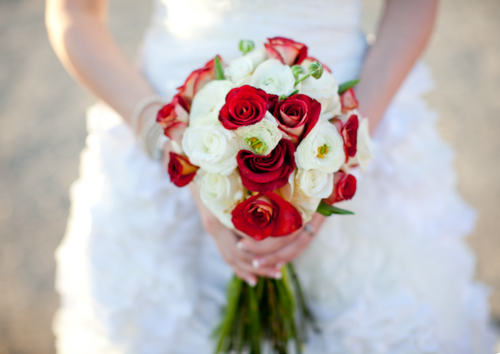 Red and White Roses