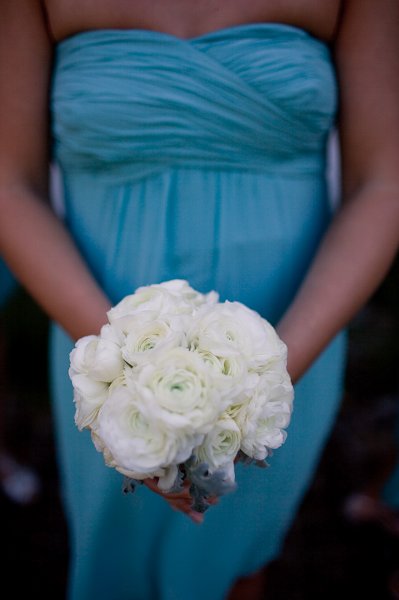 Floribunda White