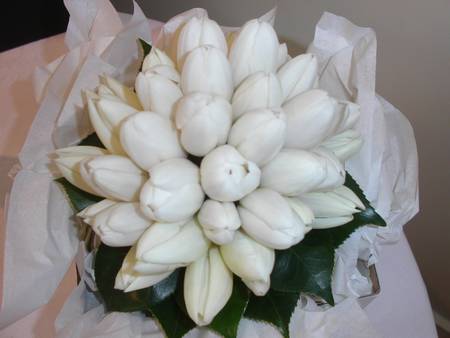 White Tulip Cluster