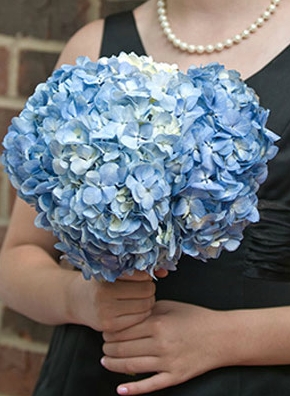 blue hydrangea bouquet