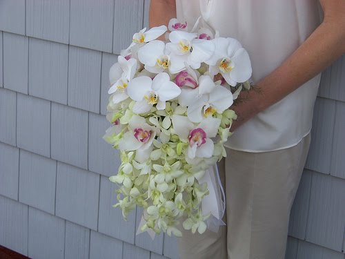 cascading orchids bouquet white