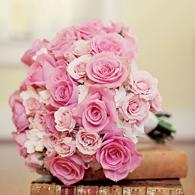 Pink and Pink Roses