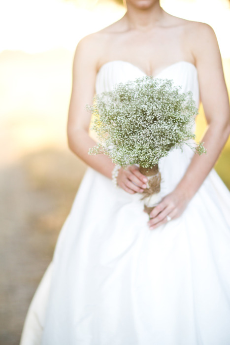 baby's breath bouquet