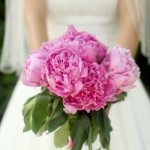 pink peonies bouquet