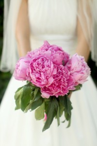 pink peonies bouquet