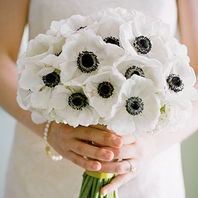 anemone bouquet