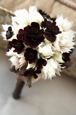 Bridal Bouquet with Chocolate Cosmos