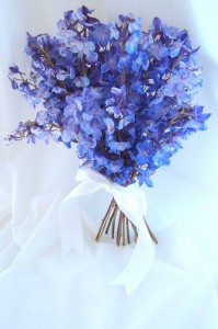 Only Delphinium Wedding Bouquet