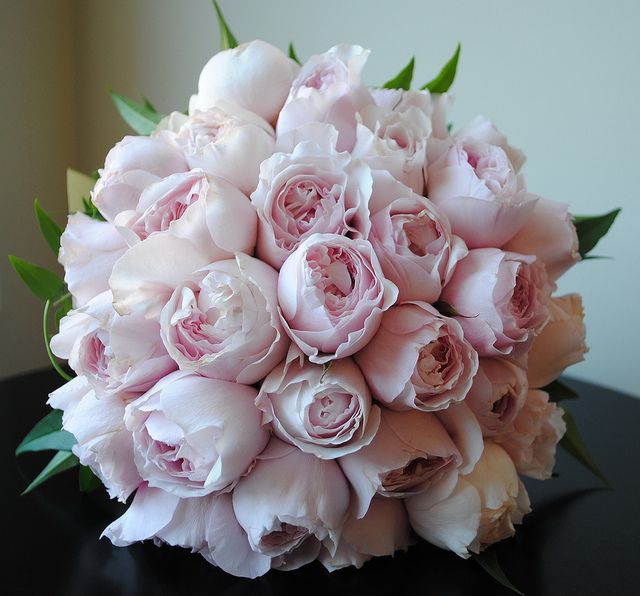 Pale Pink David Austin Roses Bouquet