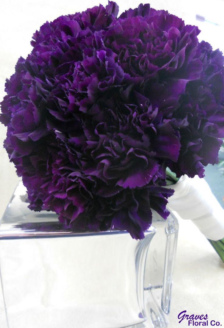 Dark purple carnation bouquet